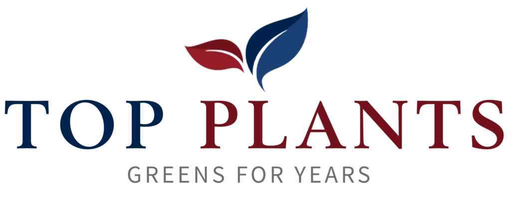 Top Plants